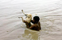 A man wades through floodwater with his dog in New Delhi