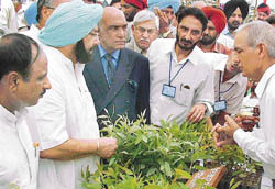 Punjab Chief Minister Captain Amarinder Singh along with Pakistani Supreme Court Judge Mr Justice Khalil-ul-Rahman Ramdey and Mr Hans Raj Joshan, Minister of State for Forests, Punjab, inspect plants at a stall at the 56th Vanmahotsav in Nawanshahr on Friday. 