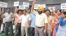 Employees of the Regional Passport Office protest in support of their demands in Sector 34, Chandigarh, on Saturday.