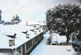 Military School, Chail, Indian Armys A-grade establishment, is governed by the Ministry of Defence