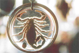 Scorpion: Killer or saviour?