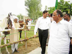 The Union Minister for Agriculture, Consumer Affairs and Food and Public Distribution, Mr Sharad Pawar