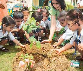 Students of Small Wonders School plant saplings as part of vanamahotsava celebrations