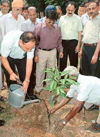 Mr Sanjay Hazari, General Manager, The Tribune Trust, waters a sapling to celebrate vanamahotsava at the Tribune Colony in Sector 29, Chandigarh