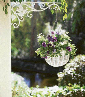 The basket should have a reasonably close weave to hold the plant