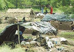 Fresh encroachments have come up in Sector 21, Panchkula, a month after these were removed by HUDA.