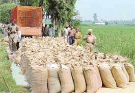 These are no wheat-filled bags but contain poppy husk worth Rs 35 to 40 lakh