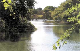 Thanks to efforts by Intach and DDA, the Hauz has regained all its former glory