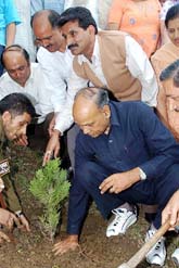 Former Chief Minister Prem Kumar Dhumal plants a sapling at Kaithu, Shimla, on Sunday.