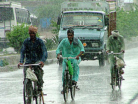 Labourers peddle their way home amidst showers that lashed Bathinda on Sunday.