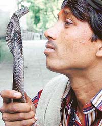 A snake charmer with his pet cobra on the occasion of Nag Panchami in Chandigarh