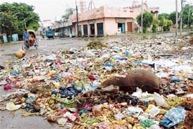 Garbage dumps dot Phagwara city