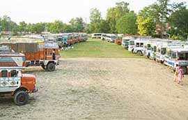 Private buses and trucks impounded ahead of the refinerys re-launch ceremony at Rajindra College in Bathinda on Thursday.