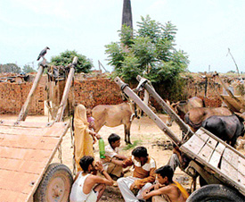Labourers ponder over their future at a closed brick-kiln at Mullanpur-Garibdas in the periphery of Chandigarh on Saturday