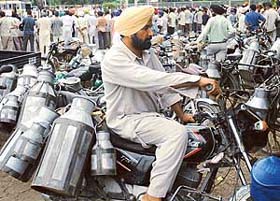 A milkman reaches the Verka milk plant, Mohali, to attend a dharna by milkmen