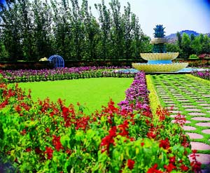Pineapple Garden is one of the 500 locations that can cater to 20 international films simultaneously