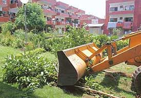A JCB removes hedges and uprooted plants at Pushpac Colony in Sector 49, Chandigarh, on Tuesday.