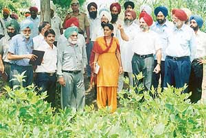 A ‘fields day’ on soyabean organised at Jhakrandi village by the Krishi Vigyan Kendra, Samrala, PAU, Ludhiana.