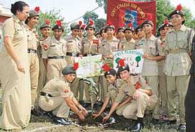 NSS volunteers of the Government College for Women plant saplings on the college campus in Ludhiana on Tuesday.