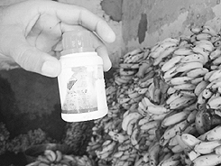 A bottle of chemical that fruit vendors in Bathindas fruit market use to ripe bananas early.