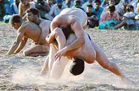 Wrestlers grapple to prove their supremacy at Dadu Majra on Monday