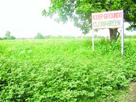 The wild growth of congress grass, besides other shrubs, in the medical college is a health hazard