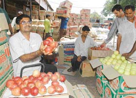 A scene at the Grain Market, Sector 26, Chandigarh
