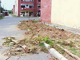 A view of the green belt after being ruined by the Municipal Corporation during an anti-encroachment drive in the Pushpak Society, Sector 49-B, Chandigarh