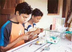 Biswajit Das at work with his brother: He has honed fish art to perfection