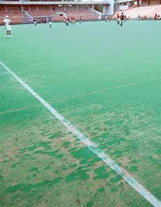A patch of mud and algae on the field of Hockey Stadium, Sector 42, Chandigarh.