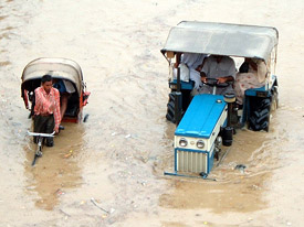 A tractor and a rickshaw wade through an inundated road after heavy rain lashed Bathinda on Friday.