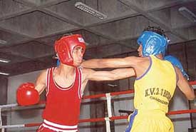 A boxing bout in progress in the Kendriya Vidyalaya Regional Sports Meet organised by Kendriya Vidyalaya, Sector 31, in Chandigarh on Saturday.