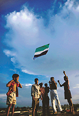 Pleasant weather makes children come out of their homes to enjoy kite flying on Sunday evening in Chandigarh.
