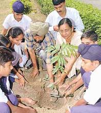 Students of Government Model Senior Secondary School, Sector 47, Chandigarh, plant a sapling on the school campus on Friday.