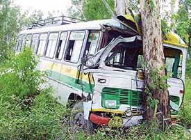 The PRTC bus after it rammed into a tree on the Patiala-Rajpura highway