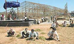 A pandal being erected and workers planting grass around the stage at the Chandigarh Technology Park on Tuesday.