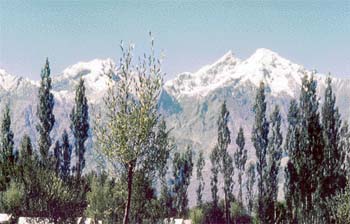 A view of the snow-capped mountains from a camp site in Sumur