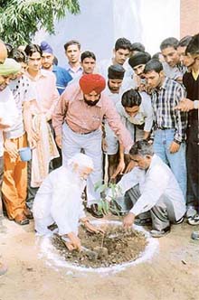 Mr Sunder Lal Bahuguna, plants an Ashoka pandola sapling during an ongoing NSS camp at Government College, Sector 11, in Chandigarh