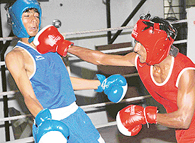 A bout in progress during the 20th Chandigarh Sub-junior Boxing Championship on Sunday.