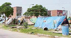 Hutments have come up in most marketplaces in Panchkula