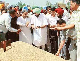 Punjab Chief Minister Amarinder Singh inspects the paddy purchase at the New Grain Market in Rajpura