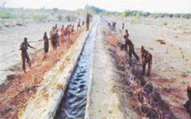 ALL FOR GREENFIELDS: Troops constructing a water channel