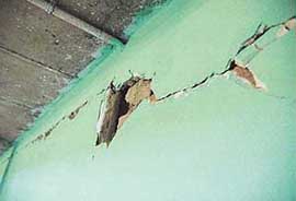 Mild cracks on the walls of the Sector 42 Indoor Badminton Hall after the earthquake in Chandigarh on Saturday.