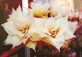The Thai Pavilion at the CII fair is a big draw with fancy lights and arty flowers