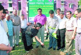 Ms Anu Chatrath, Mayor, Municipal Corporation, plants a sapling in the park adopted by LIC in Sector 15, Chandigarh, on Friday.