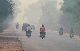 A thick blanket of smog engulfs the Ludhiana-Mullanpur road in the evening in Ludhiana on Tuesday