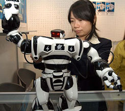 An official demonstrates a toy robot at the IT fair in Bangalore