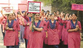Students of Spring Dale Senior Secondary School, Ludhiana, take out a rally against bursting of crackers