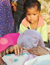 Two-and-a-half-year-old Neeru whose grandfather Ajmer Singh was shot dead at Hangola village, near Barwala, on Monday.
