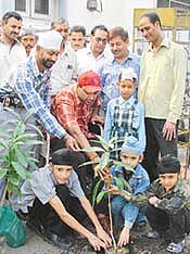 Baljit (in red cap) plants a sapling in Ludhiana on Tuesday. 